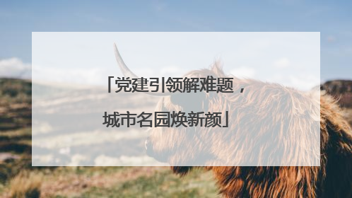 党建引领解难题，城市名园焕新颜