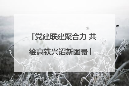 党建联建聚合力 共绘高铁兴诏新图景