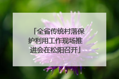 全省传统村落保护利用工作现场推进会在松阳召开