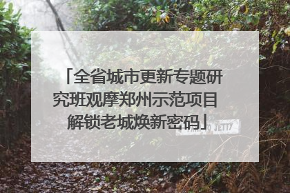 全省城市更新专题研究班观摩郑州示范项目 解锁老城焕新密码