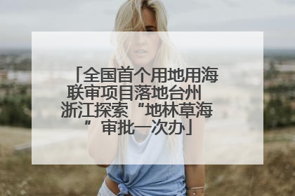 全国首个用地用海联审项目落地台州 浙江探索“地林草海”审批一次办