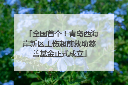 全国首个！青岛西海岸新区工伤超前救助慈善基金正式成立
