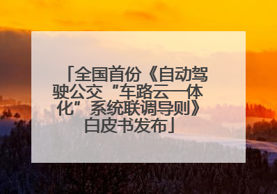 全国首份《自动驾驶公交“车路云一体化”系统联调导则》白皮书发布