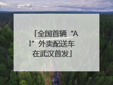 全国首辆“AI”外卖配送车在武汉首发