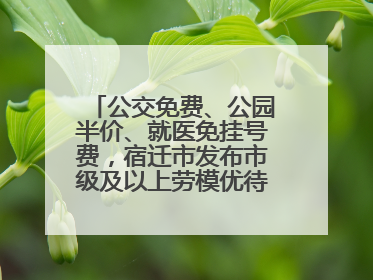 公交免费、公园半价、就医免挂号费，宿迁市发布市级及以上劳模优待服务清单