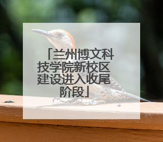 兰州博文科技学院新校区建设进入收尾阶段