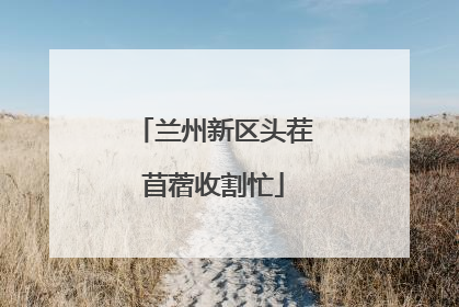 兰州新区头茬苜蓿收割忙
