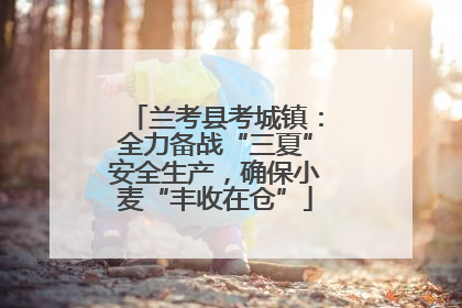 兰考县考城镇：全力备战“三夏”安全生产，确保小麦“丰收在仓”