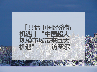 共话中国经济新机遇丨“中国超大规模市场带来巨大机遇”——访塞尔维亚经济部国务秘书尼科利奇