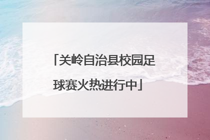 关岭自治县校园足球赛火热进行中