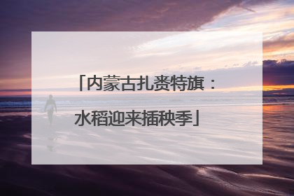 内蒙古扎赉特旗：水稻迎来插秧季