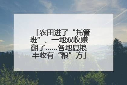 农田进了“托管班”、一地双收赚翻了……各地夏粮丰收有“粮”方