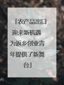 农产品出口迎来新机遇 为返乡创业青年提供了新舞台