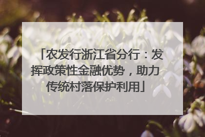 农发行浙江省分行：发挥政策性金融优势，助力传统村落保护利用