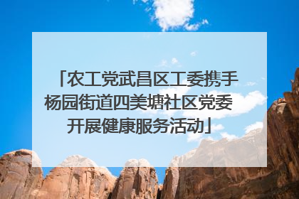农工党武昌区工委携手杨园街道四美塘社区党委开展健康服务活动