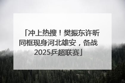 冲上热搜！樊振东许昕同框现身河北雄安，备战2025乒超联赛
