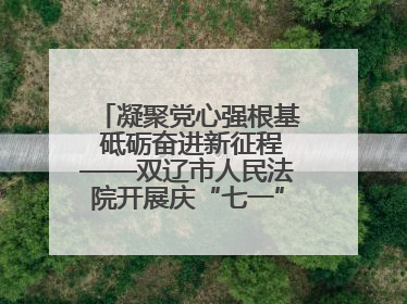 凝聚党心强根基 砥砺奋进新征程——双辽市人民法院开展庆“七一”系列活动