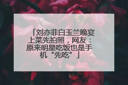 刘亦菲白玉兰晚宴上菜先拍照，网友：原来明星吃饭也是手机“先吃”