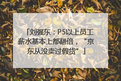 刘强东：P5以上员工薪水基本上都翻倍，“京东从没卖过假货”