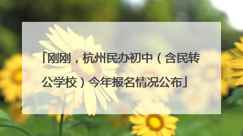刚刚，杭州民办初中（含民转公学校）今年报名情况公布