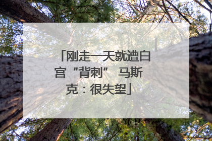 刚走一天就遭白宫“背刺” 马斯克：很失望