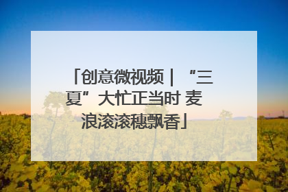 创意微视频｜“三夏”大忙正当时 麦浪滚滚穗飘香