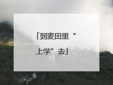 到麦田里“上学”去