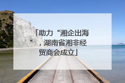 助力“湘企出海”，湖南省湘非经贸商会成立