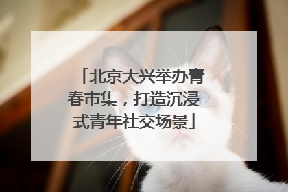 北京大兴举办青春市集，打造沉浸式青年社交场景