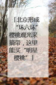 北京形成“环六环”樱桃观光采摘带，这里能买“明星樱桃”
