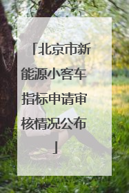 北京市新能源小客车指标申请审核情况公布