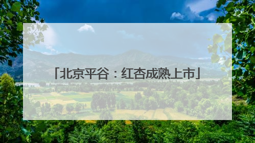 北京平谷：红杏成熟上市