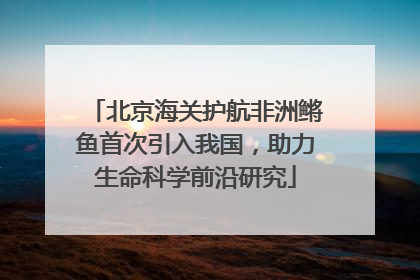 北京海关护航非洲鳉鱼首次引入我国，助力生命科学前沿研究