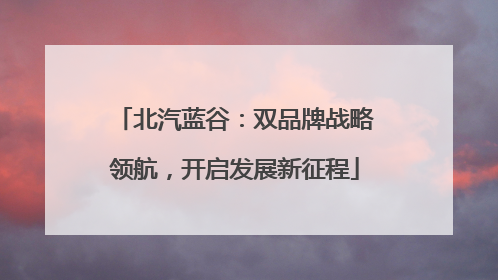 北汽蓝谷：双品牌战略领航，开启发展新征程