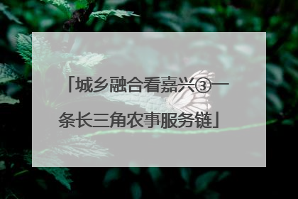 城乡融合看嘉兴③一条长三角农事服务链