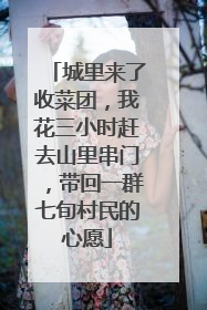 城里来了收菜团，我花三小时赶去山里串门，带回一群七旬村民的心愿