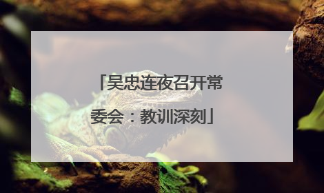 吴忠连夜召开常委会：教训深刻