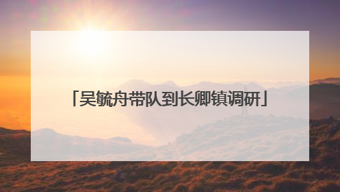 吴毓舟带队到长卿镇调研