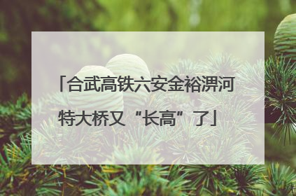 合武高铁六安金裕淠河特大桥又“长高”了