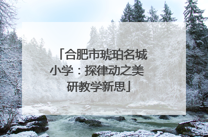 合肥市琥珀名城小学：探律动之美 研教学新思
