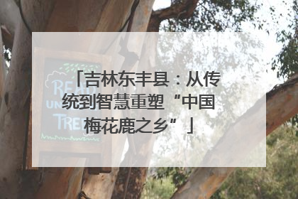 吉林东丰县：从传统到智慧重塑“中国梅花鹿之乡”