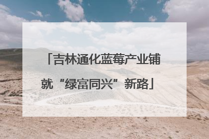 吉林通化蓝莓产业铺就“绿富同兴”新路
