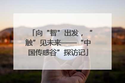 向“智”出发，“触”见未来——“中国传感谷”探访记