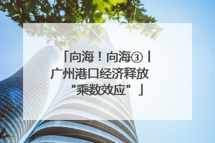 向海！向海③丨广州港口经济释放“乘数效应”