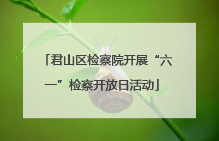 君山区检察院开展“六一”检察开放日活动