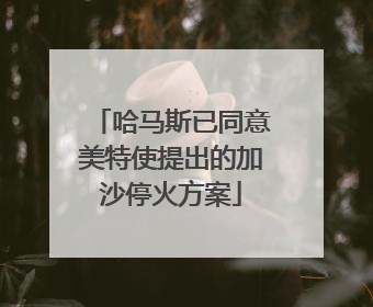 哈马斯已同意美特使提出的加沙停火方案