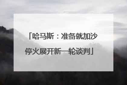 哈马斯：准备就加沙停火展开新一轮谈判