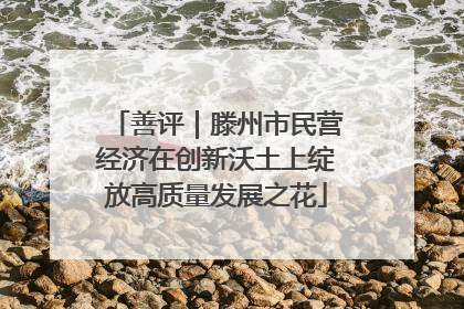 善评｜滕州市民营经济在创新沃土上绽放高质量发展之花