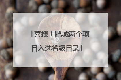 喜报！肥城两个项目入选省级目录