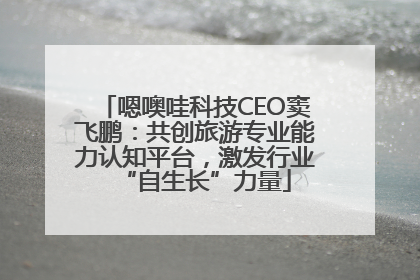 嗯噢哇科技CEO窦飞鹏：共创旅游专业能力认知平台，激发行业“自生长”力量